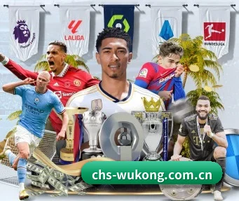 chs-wukong.com.cn APP